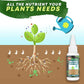 🏆 Last Day Special Price £12.99 ! 🔥🔥Plant Nutrient Solution