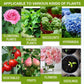 🏆 🔥Plant Nutrient Solution🔥 Directions for use: Dilute 10 millilitres of nutrient solution in 100 millilitres of water, then water the plant at the base.
