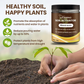 🔥Hot Sale🔥Soil Activated Treasure-You Will Be Amazed!