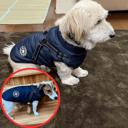 🐶Hot Sale 50% OFF🔥3 in 1 Winter Waterproof Warm Dog Jacket With Built-in Harness