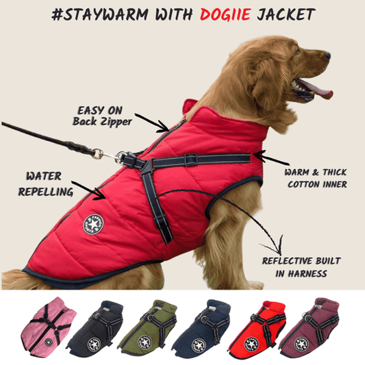 🐶Hot Sale 50% OFF🔥3 in 1 Winter Waterproof Warm Dog Jacket With Built-in Harness