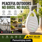 🏆 1Last Day Special Price £7.98 ! 🐦Buy 2 Get 1 Free🎁No more trouble from birds, beasts and locusts！Portable Ultrasonic Bird Repellent Keychain