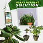 🏆 Last Day Special Price £12.99 ! 🔥🔥Plant Nutrient Solution