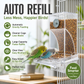 🎉Limited‑Time 50% OFF 🐦No Mess Automatic Bird Feeder