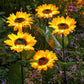 🎅Christmas Sale🌻50K+ SOLD! 🎁✨Sunflower Solar Garden Stake Led Lights