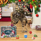 🎄🎁2025 Christmas Countdown Cat&Dog Toys Advent Calendar🐾🥳
