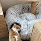 🐈2-in-1 Foldable Indoor Soft Round Cat Tunnel Bed