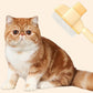Portable Cleaning Comb for Pet Hair
