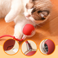 🐈Intelligent Chirping Rolling Interactive Cat Toy Ball