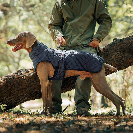 Outdoor Dog Winter Reflective Coat