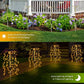 🎁Party Essentials💥Hot Sale 50% OFF 🔥Solar Garden Lights Outdoor Decor – 100 LEDs, IP55 Waterproof, Easy Install 🌙⚡ Delivered within 5 working days!