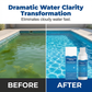 🌊⏳ Last-day special: £4!!💧 Pool clarifier – crystal-clear water, hassle-free! ✨ Say goodbye to green water and harsh chemicals. 🏊‍♂️ Delivered within five working days 💙 so you can use it this week!
