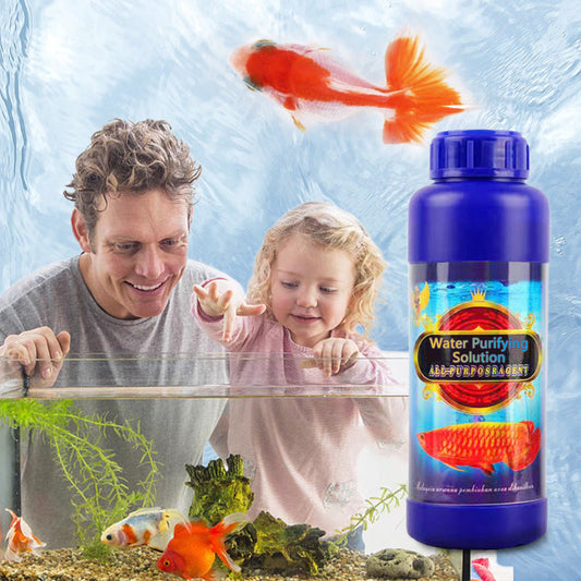 🚗Delivered within five working days🔥Professional Aquarium Purifying Solution✨