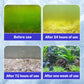 🚗Delivered within five working days🔥Professional Aquarium Purifying Solution✨