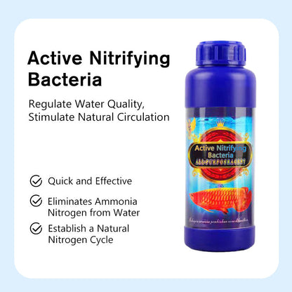 🚗Delivered within five working days🔥Professional Aquarium Purifying Solution✨