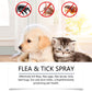 🥳2026 HOT SALE🥳🍃🐾 50% OFF! Natural Flea & Tick Spray – Peppermint & tea tree oil, safe for cats & dogs. Soothes itchy skin, no harsh chemicals. Just spray & go. A gentle pest solution. 🌿✨