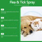 🥳2026 HOT SALE🥳🍃🐾 50% OFF! Natural Flea & Tick Spray – Peppermint & tea tree oil, safe for cats & dogs. Soothes itchy skin, no harsh chemicals. Just spray & go. A gentle pest solution. 🌿✨