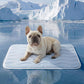 ❄️Summer Blowout! ❄️50% OFF 🧊PawDew™ for Dogs & Cats – Vet-Approved Ice-Silk Cooling Pad ❄️ | Q-MAX >0.4 | Washable 🧼, Non-Slip 🛟 | Perfect for Large Breeds & UK Summers ☀️🇬🇧