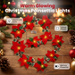 🎁🎄Christmas Sale 50% OFF!😍 Poinsettia Flower String Lights – 2M Warm LED Garland with Red Flowers & Holly Leaves