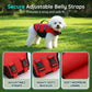 🐕 High Buoyancy Dog Life Jacket — Superior Flotation Vest for Swimming & Boating