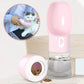 Portable pet water bottle