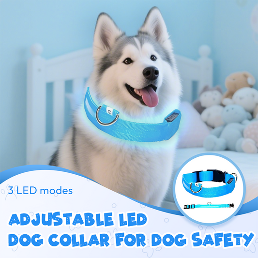 🎁🏆 Last Day Special Price £ 7.98!🧊🧽Adjustable LED Dog Collar for Dog Safety