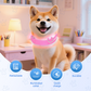 🎁🏆 Last Day Special Price £ 7.98!🧊🧽Adjustable LED Dog Collar for Dog Safety